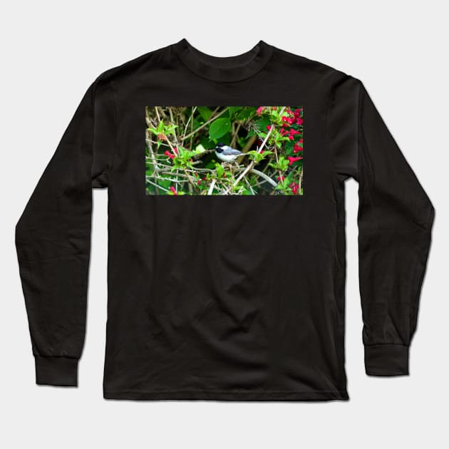 Black-capped Chickadee Hiding In A Bush Long Sleeve T-Shirt by BackyardBirder